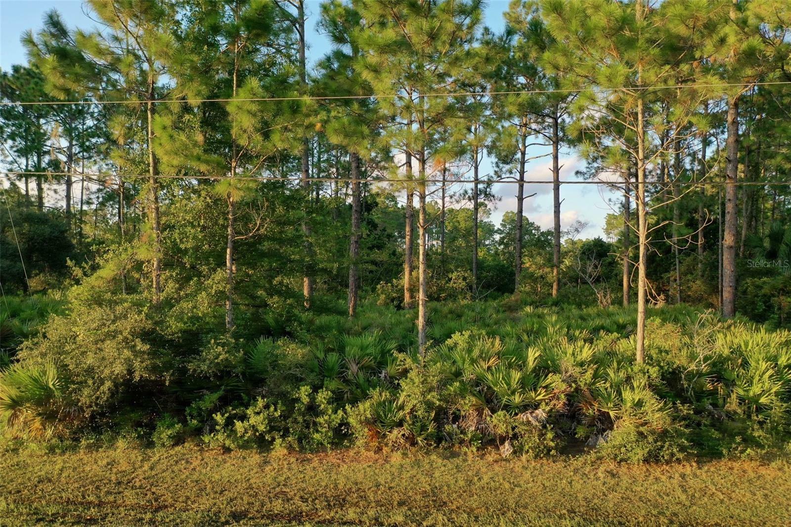 Property Photo:  71 Sea Trail  FL 32164 