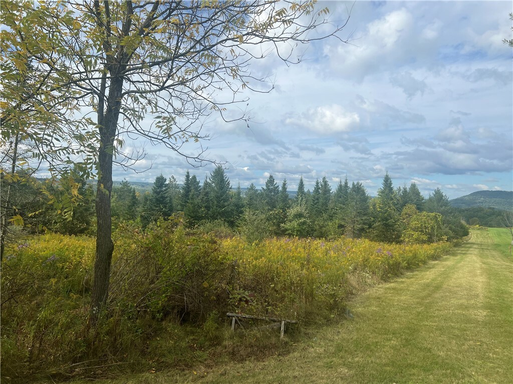 Property Photo:  O Grove Springs/ Keuka Highlands Road Road  NY 14893 