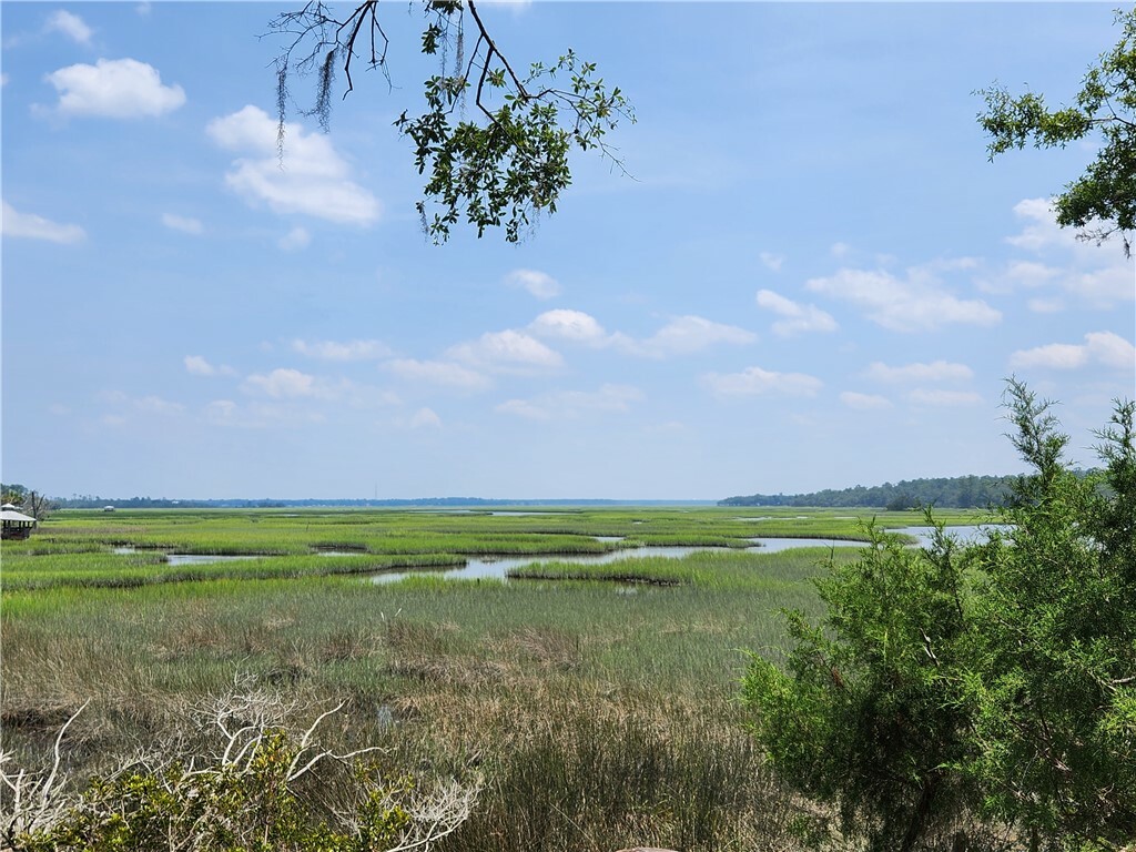 Property Photo:  5978 Harrietts Bluff Road  GA 31569 