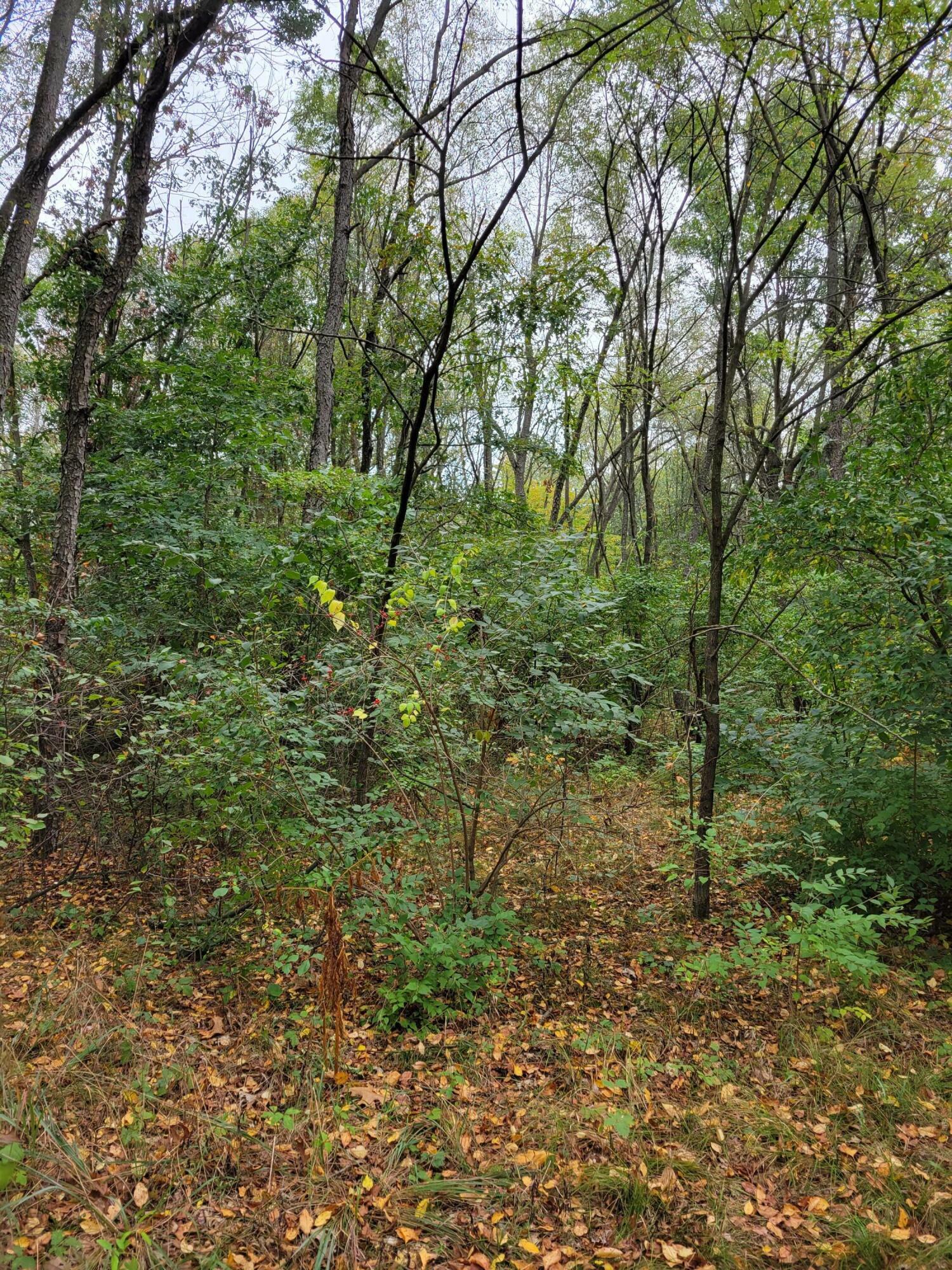 Property Photo:  Lot 3 100  IN 46349 