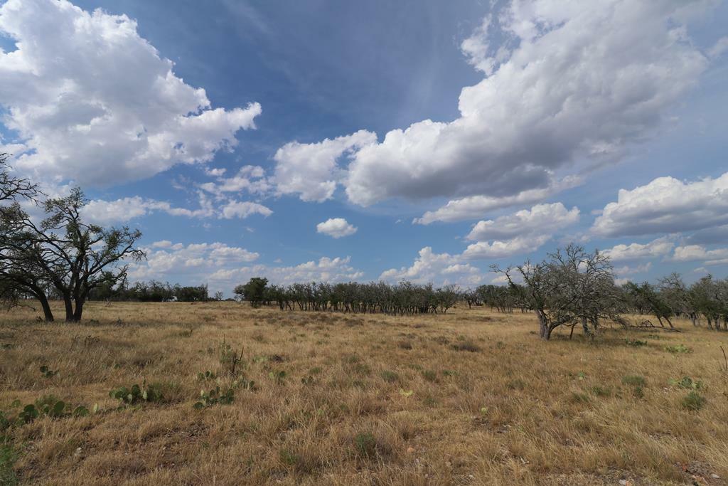 Property Photo:  501 Nott Branch Rd  TX 78631 