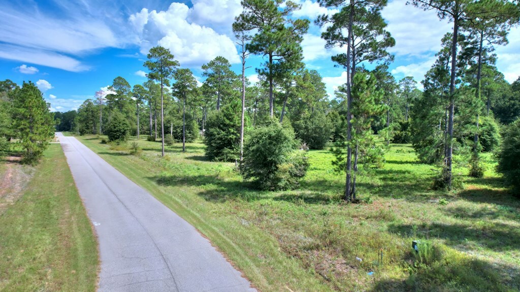 Property Photo:  Lot 10 Blk B - Swann Dr  GA 31015 