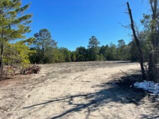 Property Photo: Tbd 3.17 Ac Highway 393 Highway FL 32539