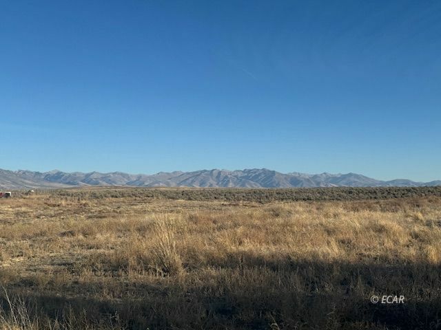 Property Photo: 818 Meadow View Drive NV 89815