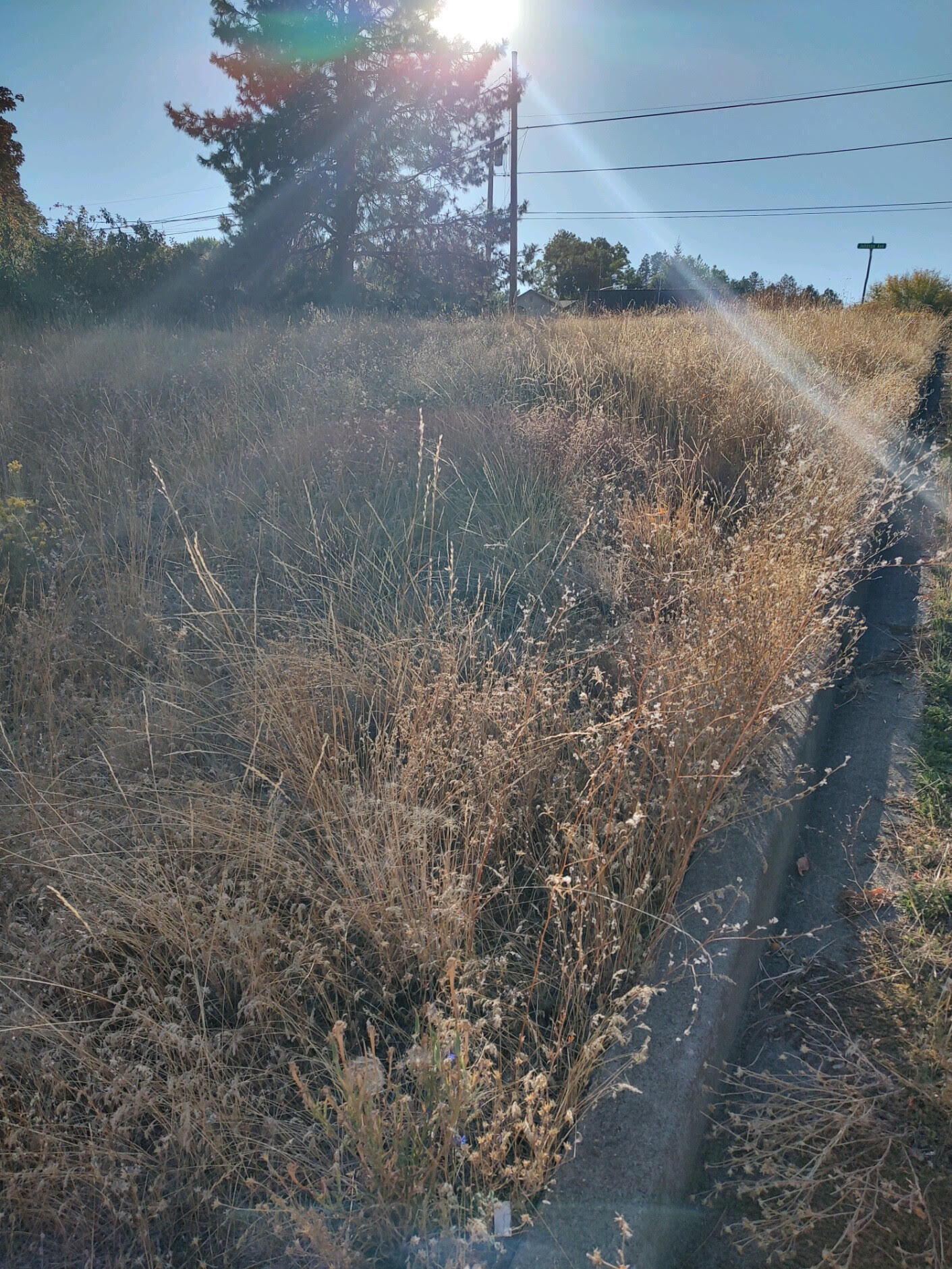 Property Photo:  Nka Shelley Street  OR 97601 