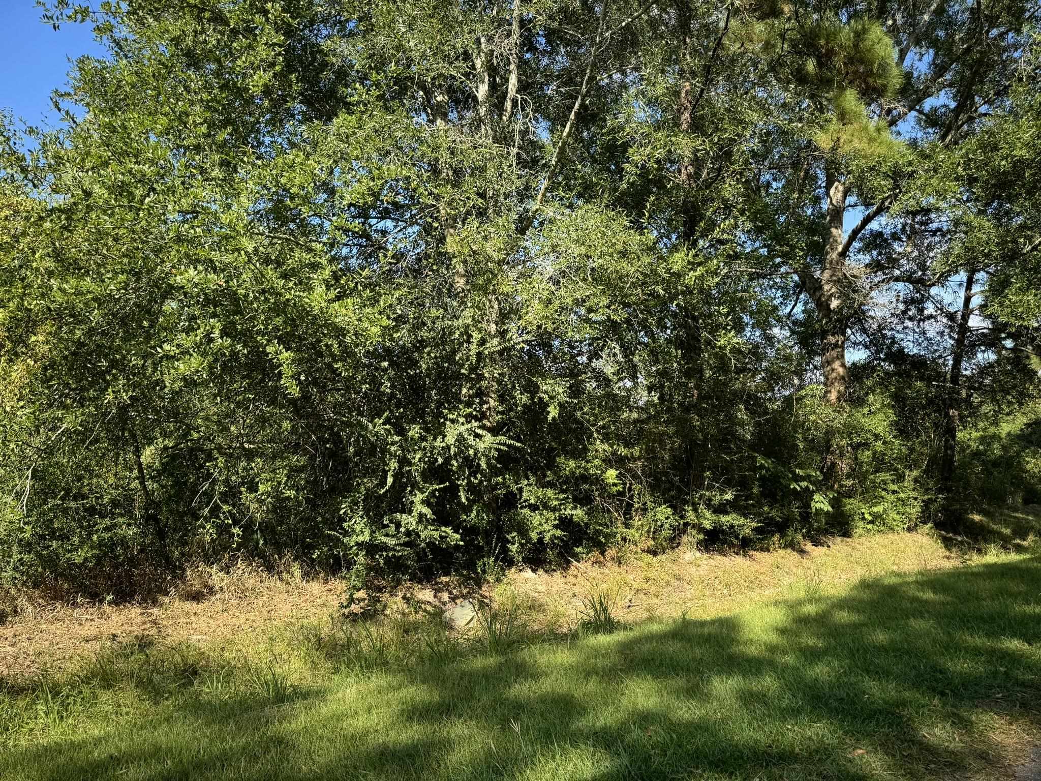 Property Photo:  Lot 73 Pine Park Blvd  TX 77632 