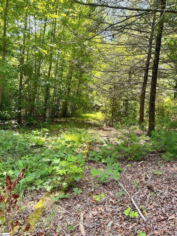 Property Photo: 1299 Singleton Road SC 29693