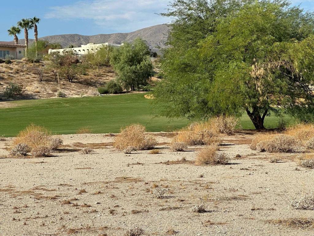 0 Roadrunner Drive  Borrego Springs CA 92004 photo