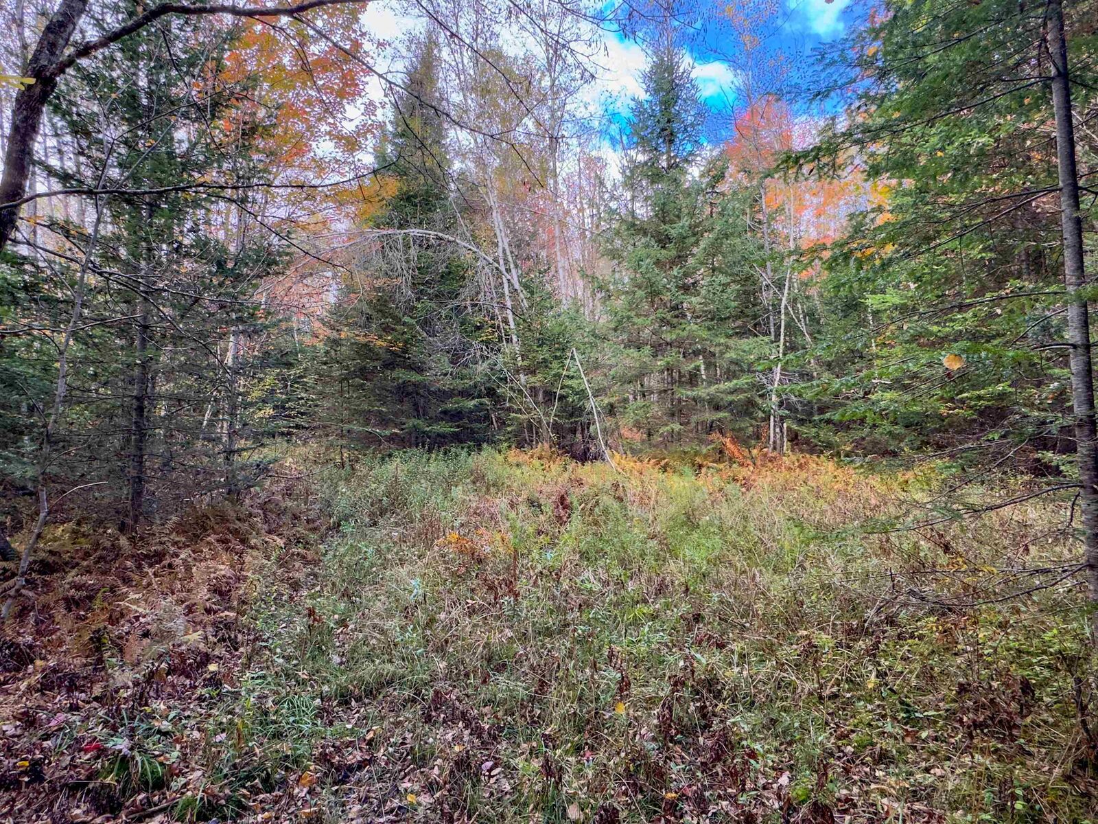 Property Photo: 00 West Main Street VT 05906