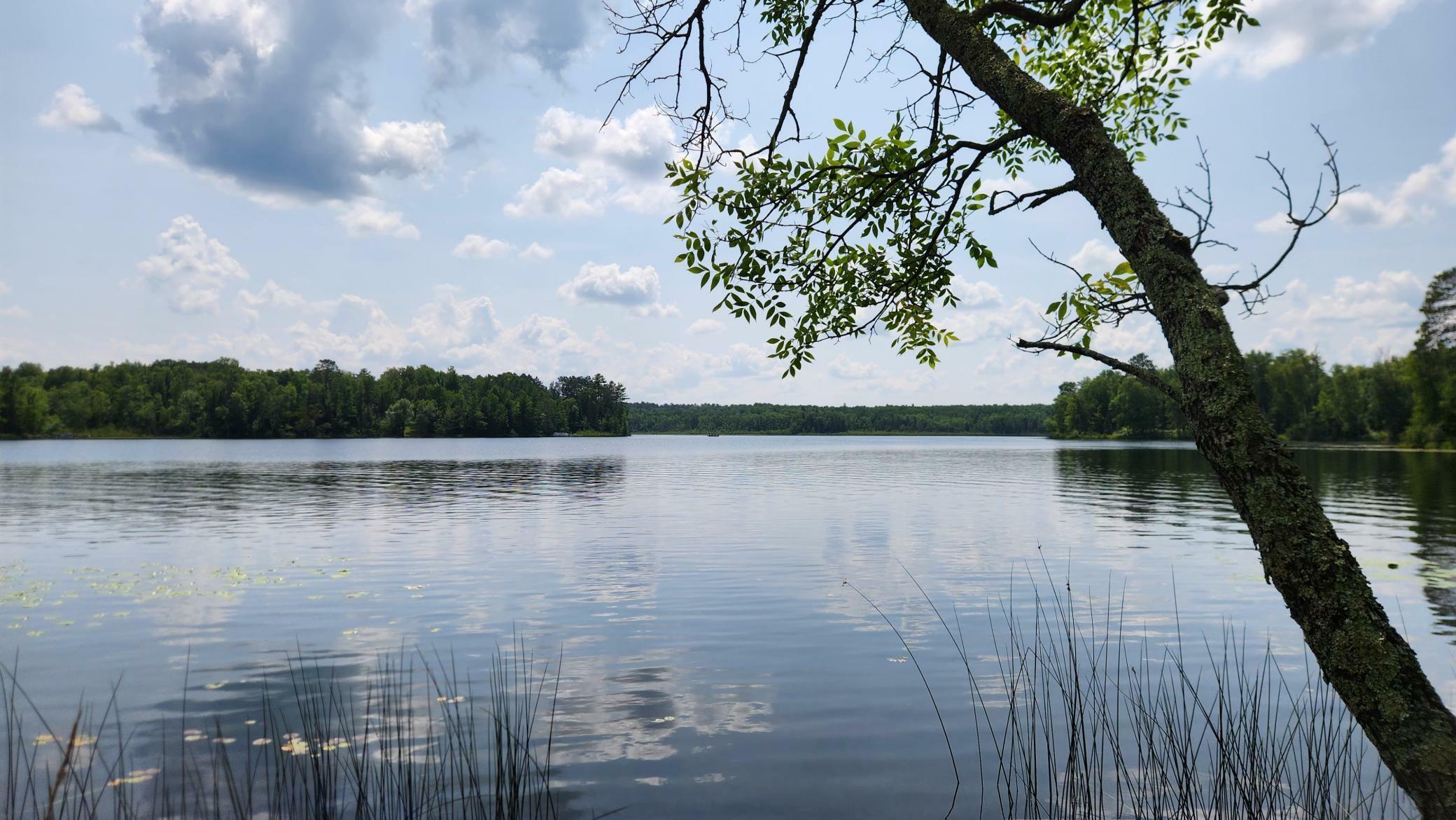 Property Photo: 26810 N Hart Lake Rd MN 55775