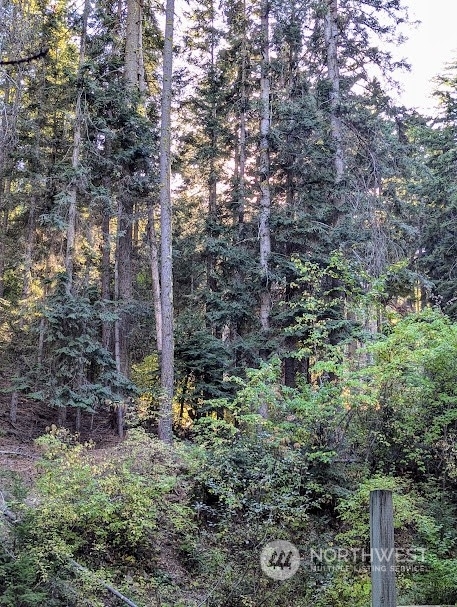 Property Photo:  0 Xx Sawmill Road  WA 98922 