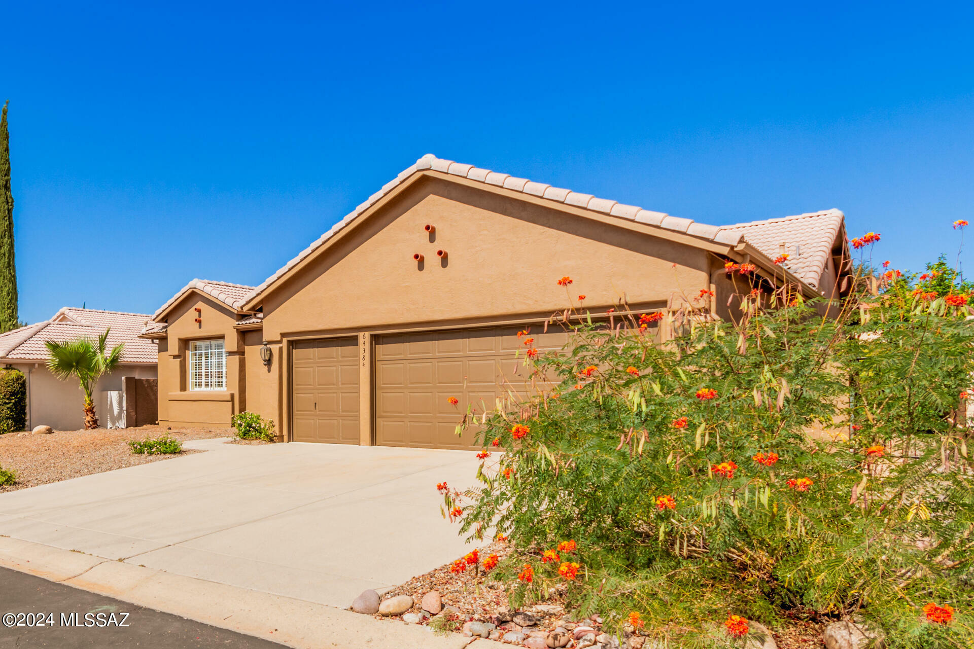 Property Photo:  64384 E Round Robin Lane  AZ 85739 