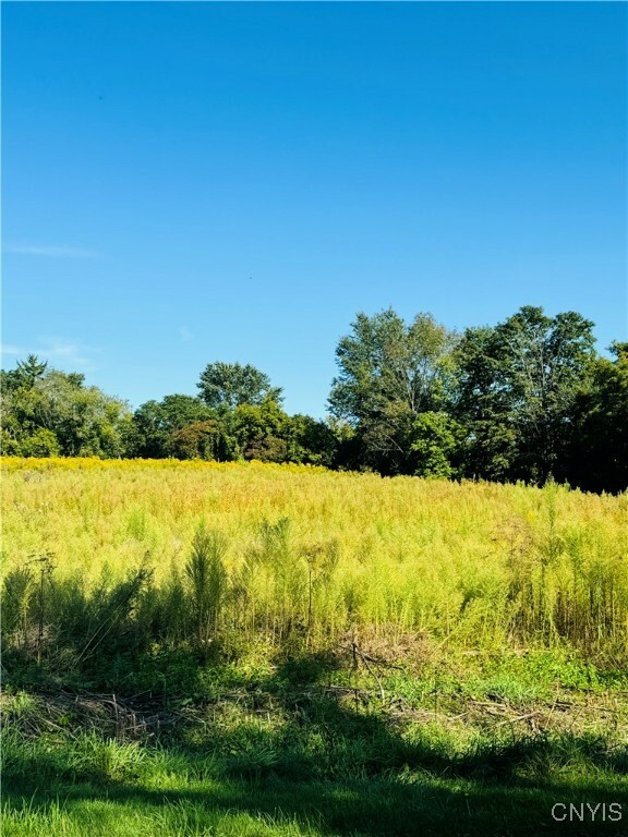 Property Photo:  Lot 4A Carpenter Avenue  NY 13073 