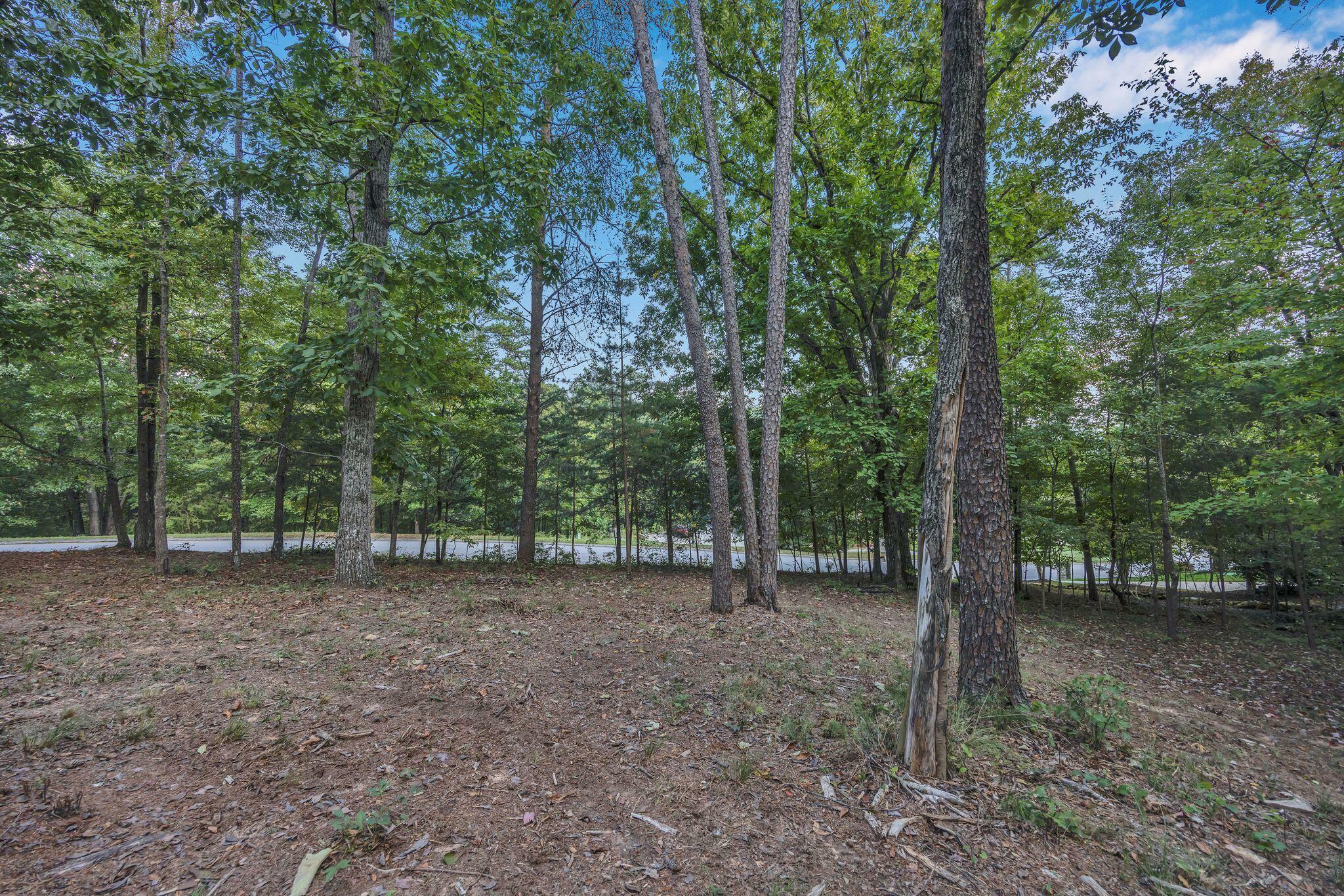 Property Photo:  2149 Horizons Drive  TN 37363 