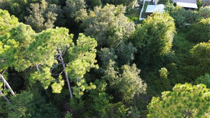 Property Photo: Kingsman Avenue FL 34288