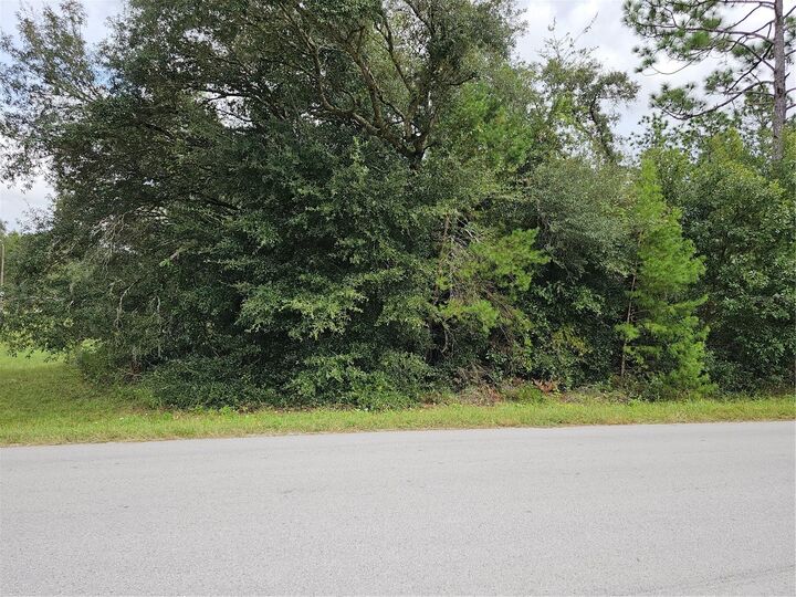 Lot 13 SW 156th Court  Ocala FL 34481 photo