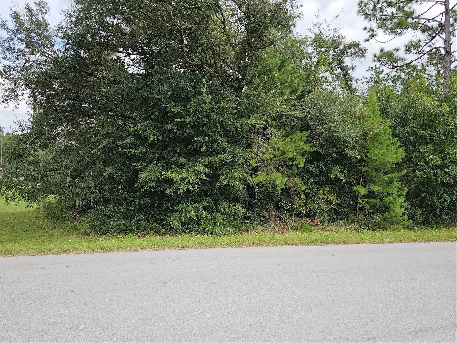 Property Photo: Lot 13 SW 156th Court FL 34481