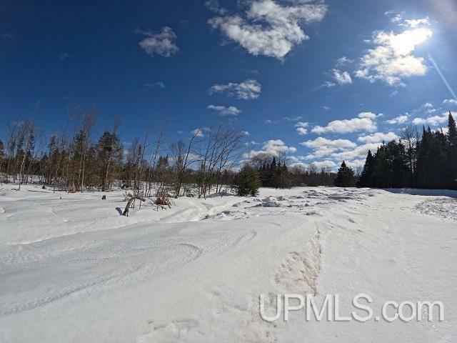 Property Photo:  120 Acres Selma Road  MI 49885 