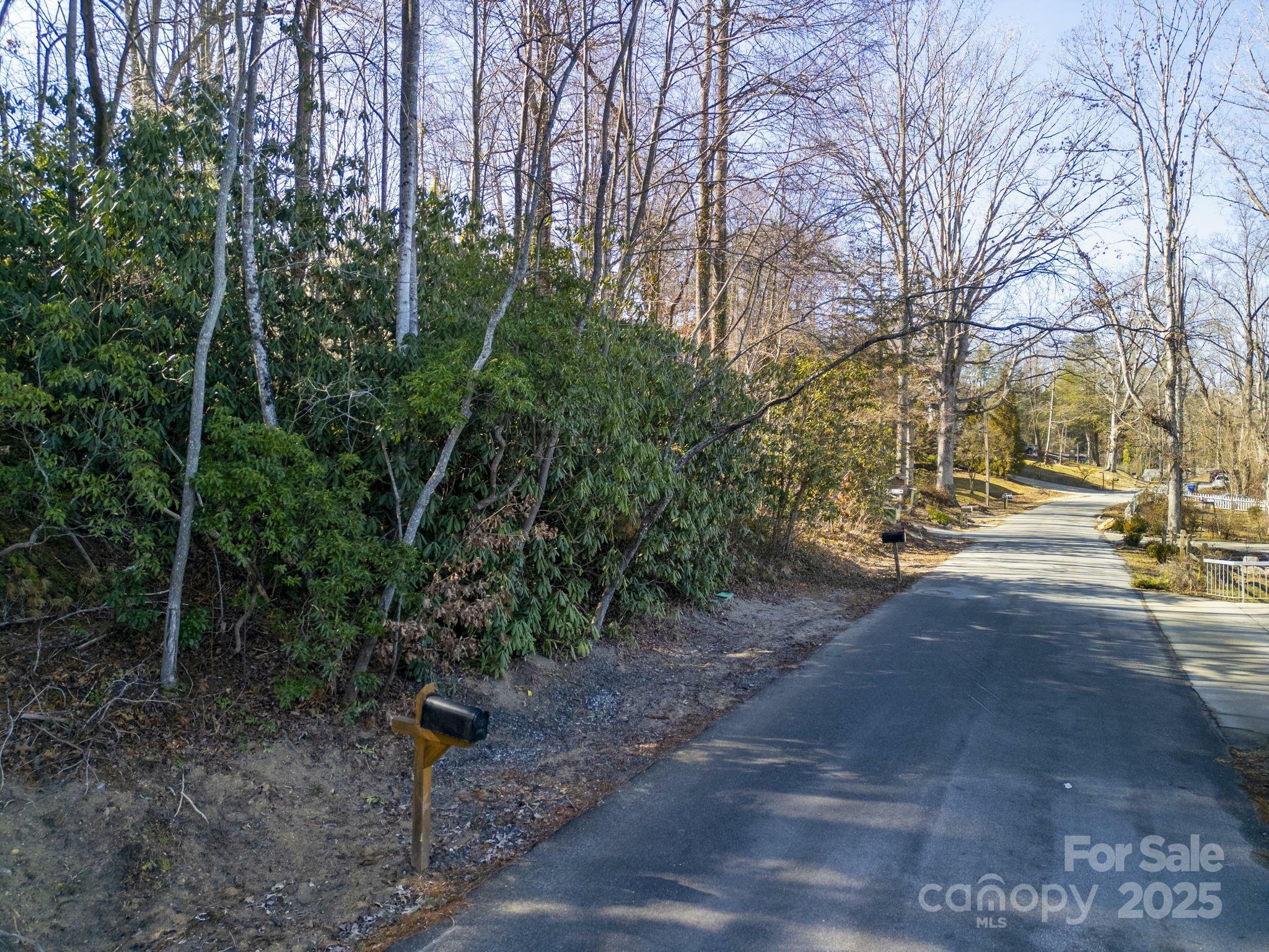 Property Photo:  00 Upper Ridgewood Boulevard  NC 28731 