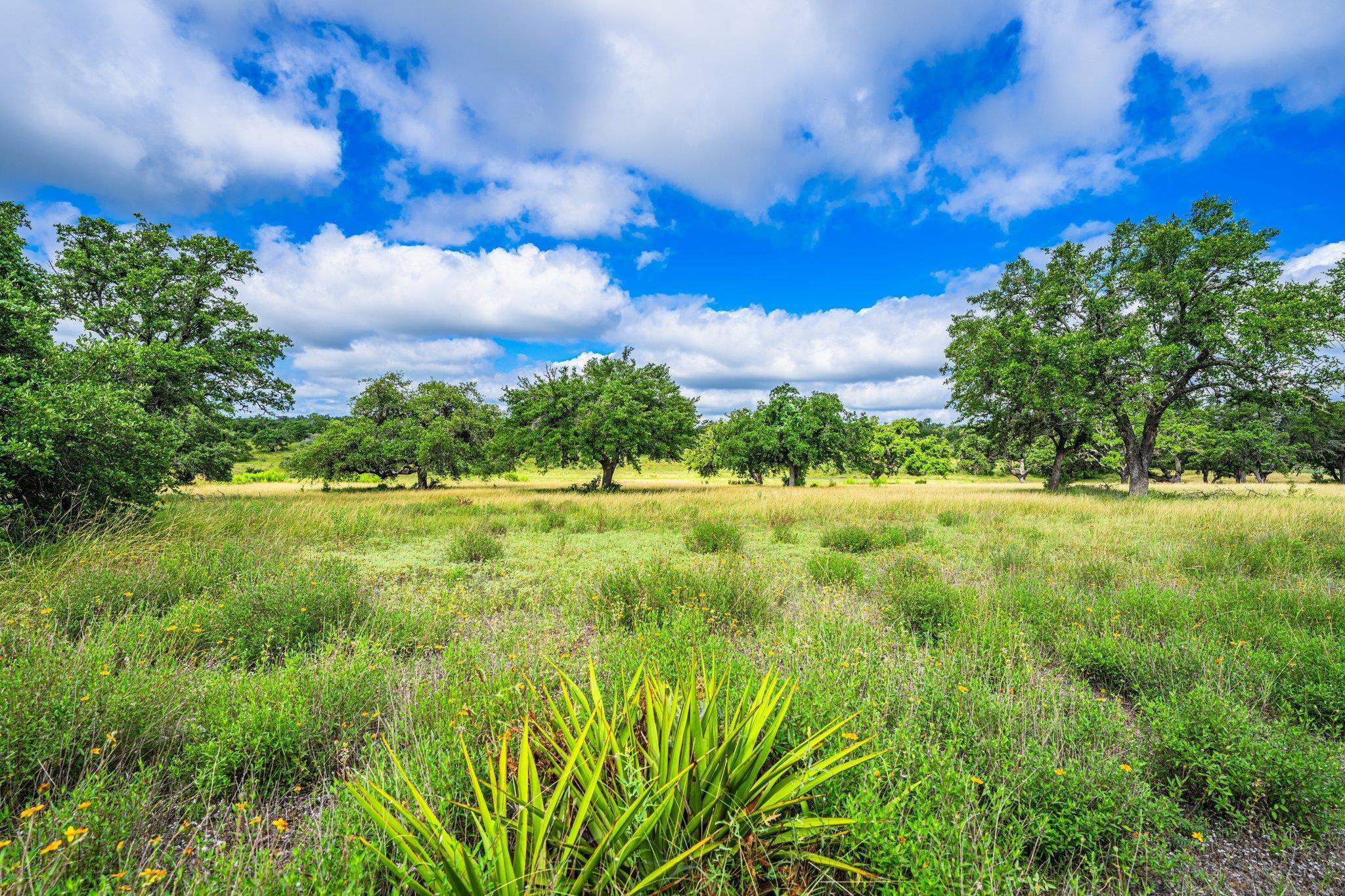 Property Photo:  3101 Shovel Mountain Road  TX 78663-6013 