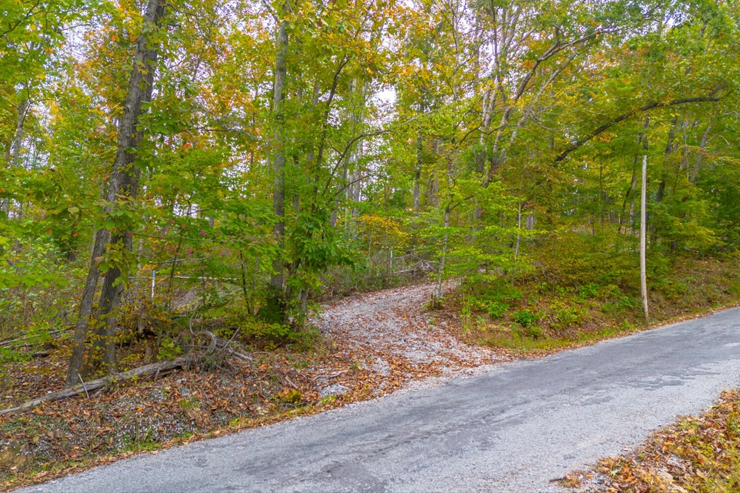 Property Photo:  0 Ross Hollow Rd  TN 37015 