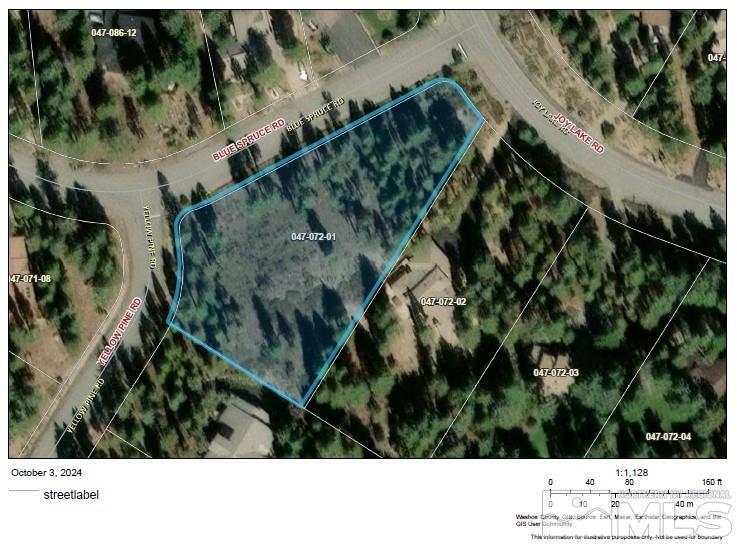 Property Photo:  11050 Blue Spruce  NV 89511 