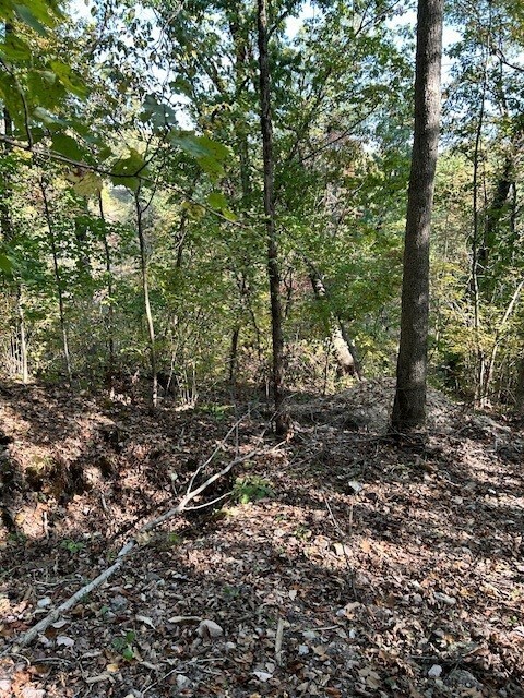 Property Photo:  Lot 16, Block 2 Judy Drive  AR 72715 