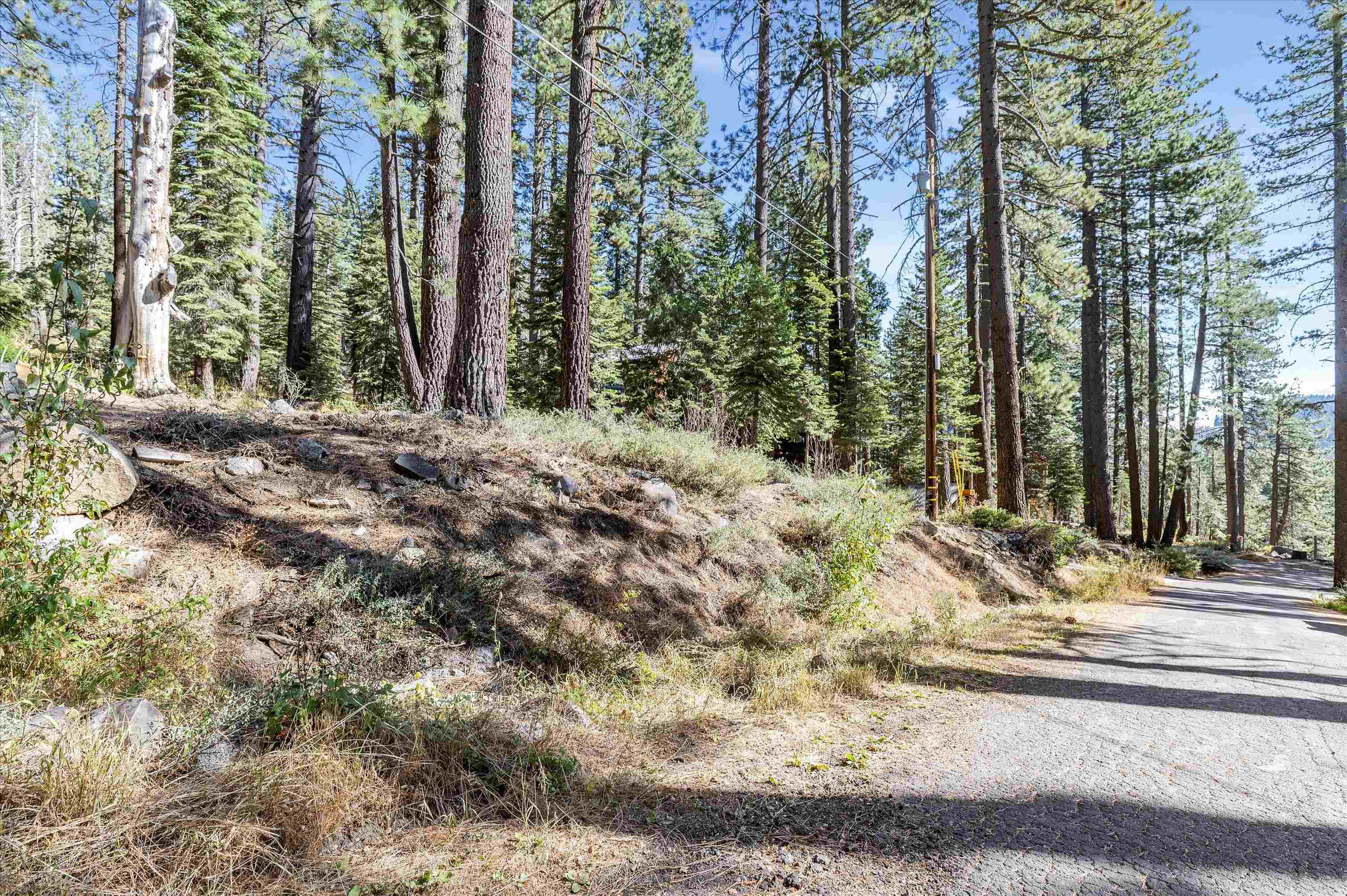 Property Photo:  51179 Jeffrey Pine Road  CA 95728 