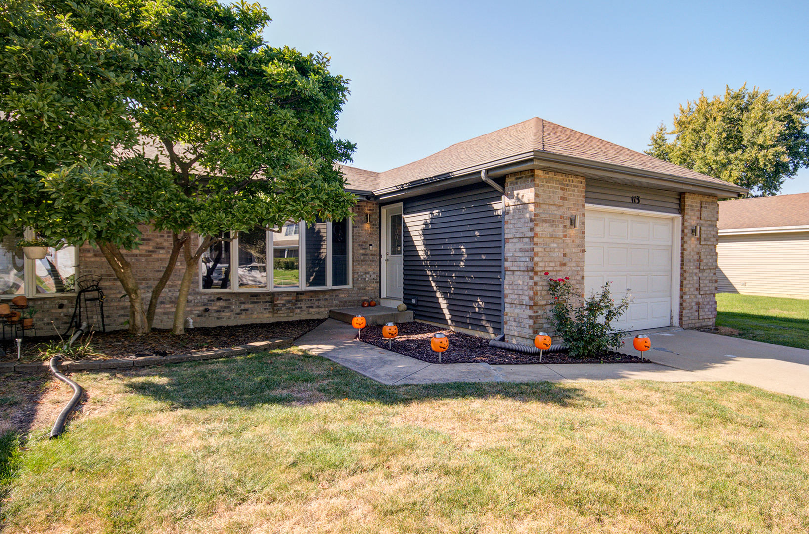 113 Ravinia Drive  Shorewood IL 60404 photo