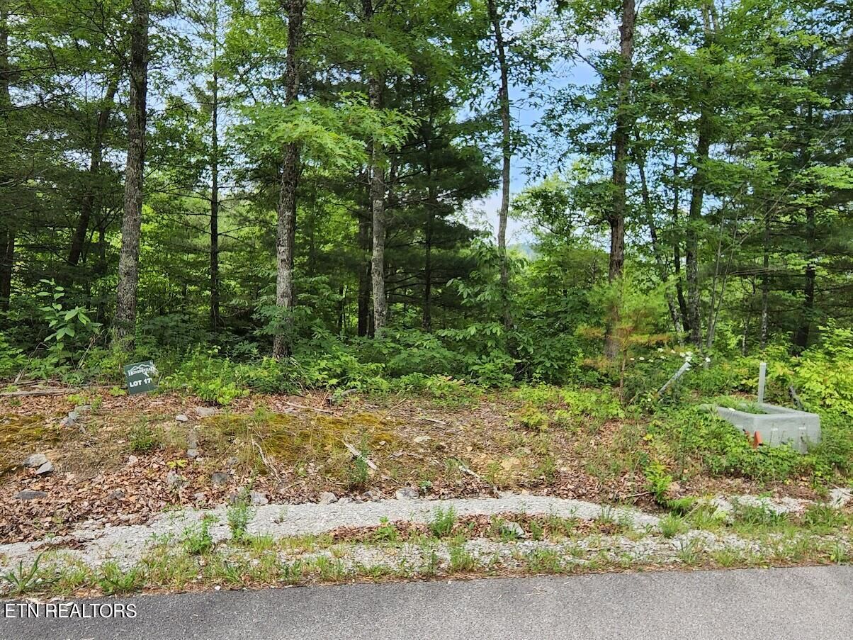 Property Photo: 441 Hawken Drive TN 37886