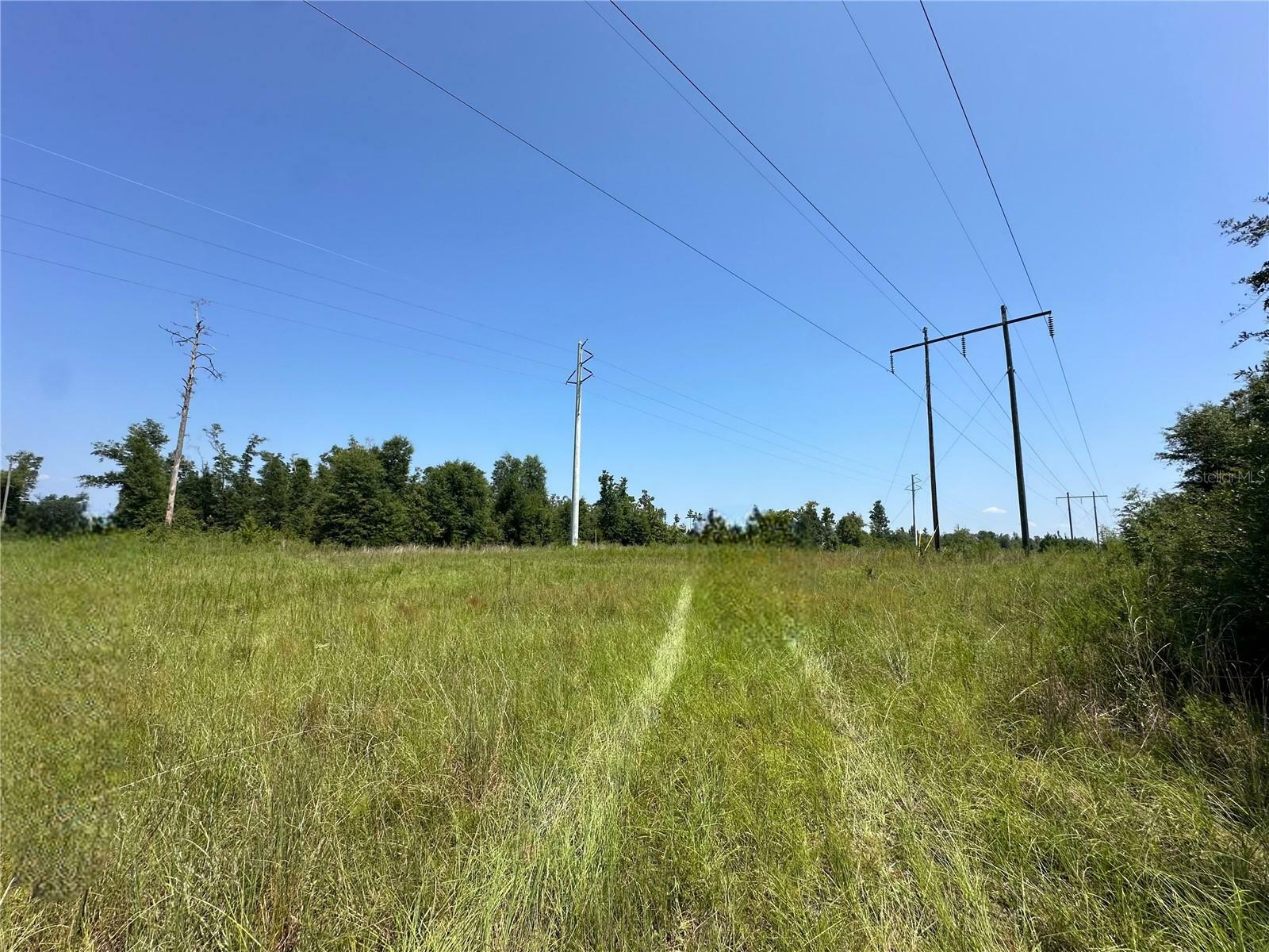 Property Photo:  NW Bailey Cemetary Road  FL 32421 