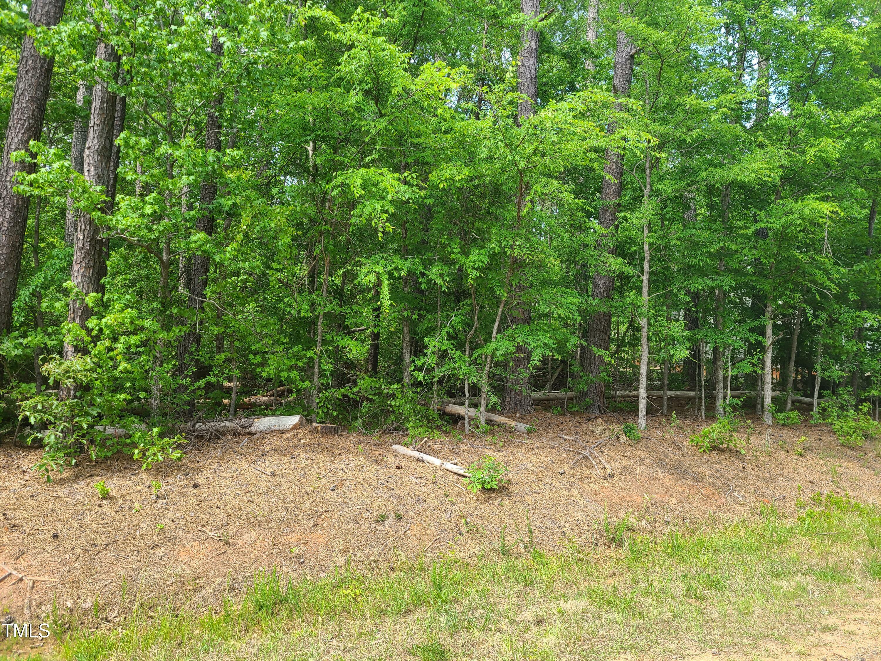 Property Photo:  123 125 Ottawa  NC 27549 