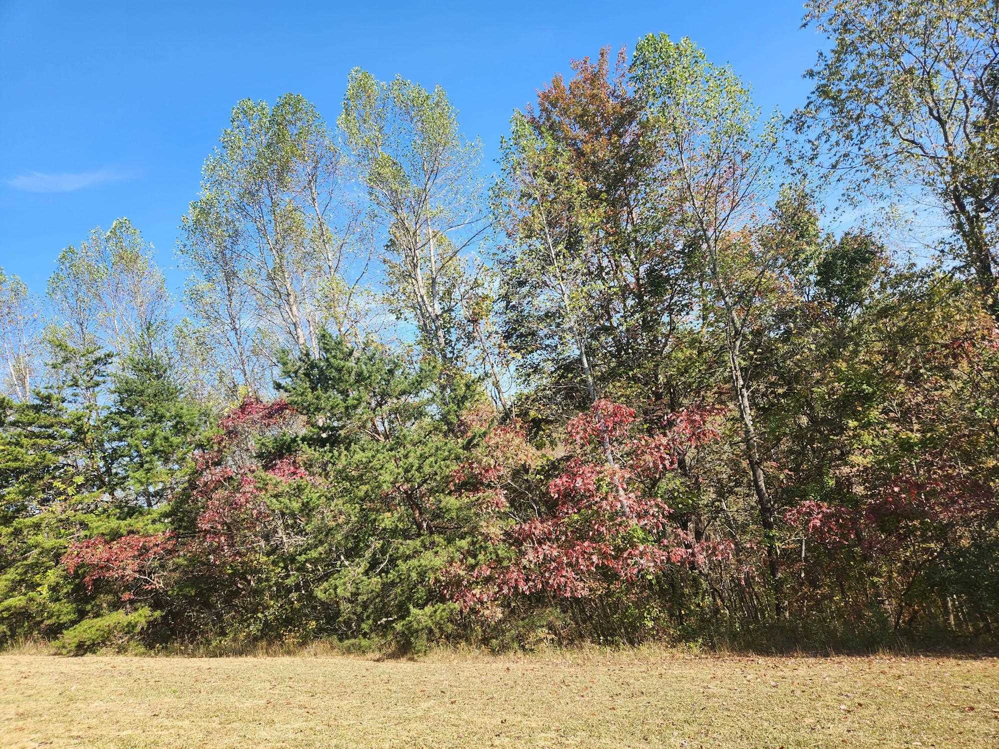 Property Photo:  000 Kiser Fork Rd  KY 41164 