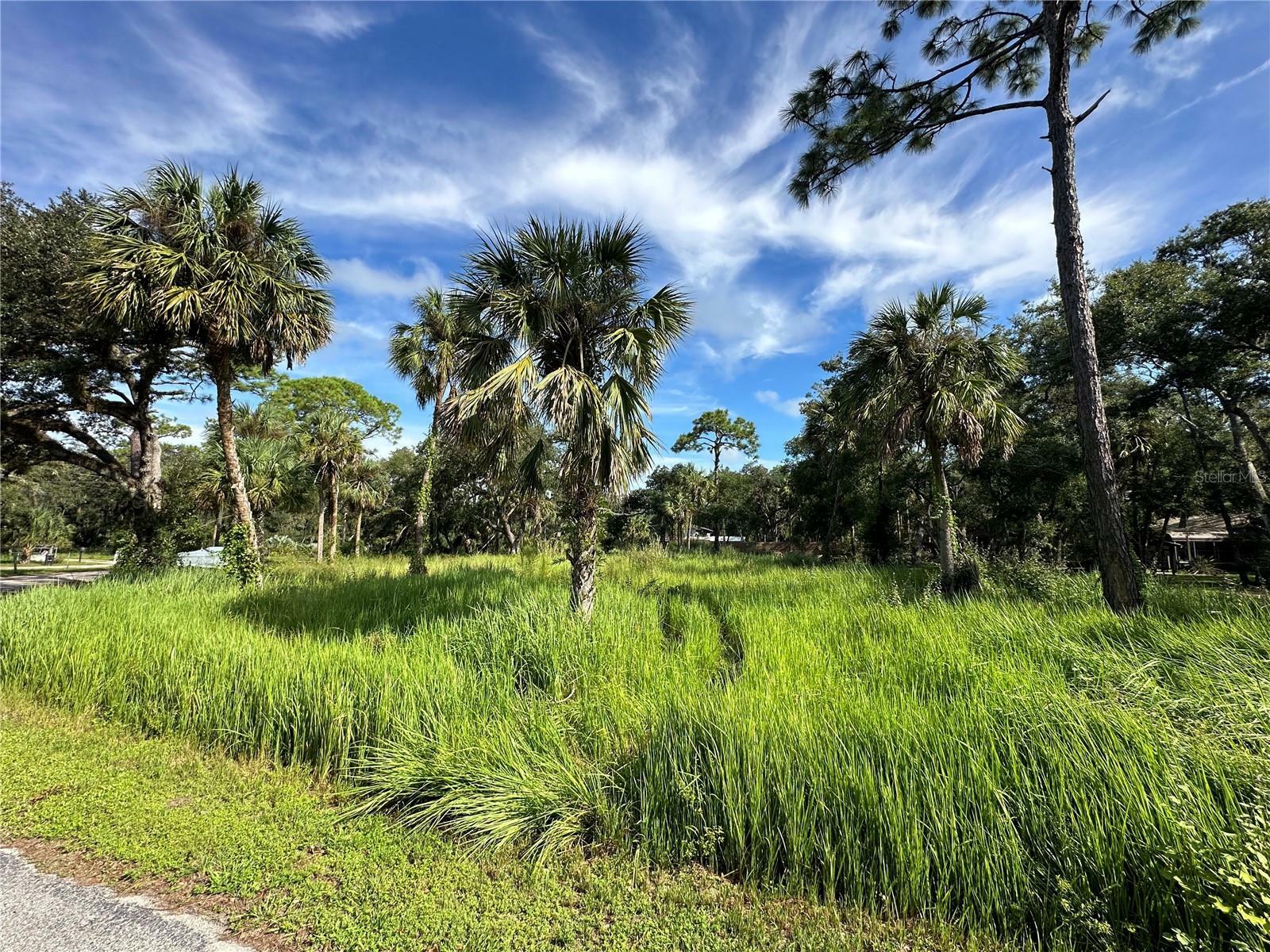 Property Photo:  1179 Mill Creek Road  FL 34212 