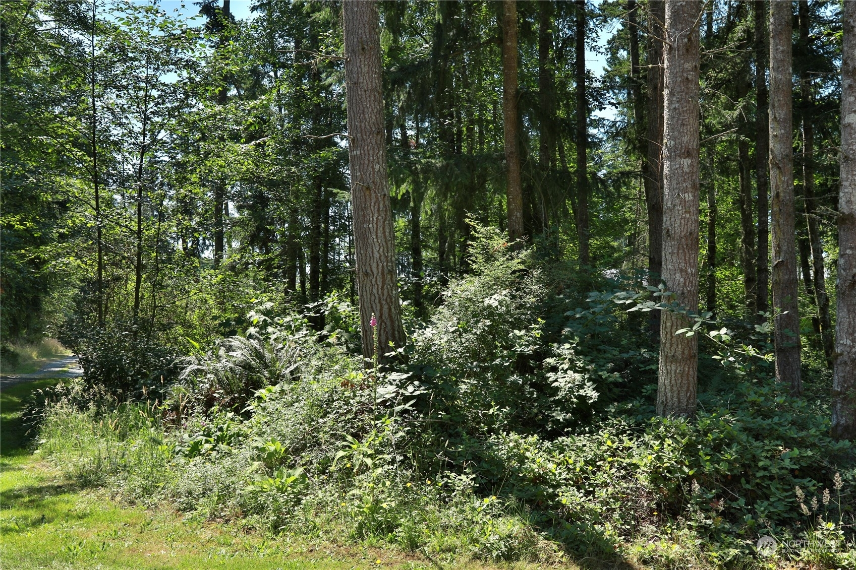 Property Photo:  0 Evergreen Lane  WA 98249 