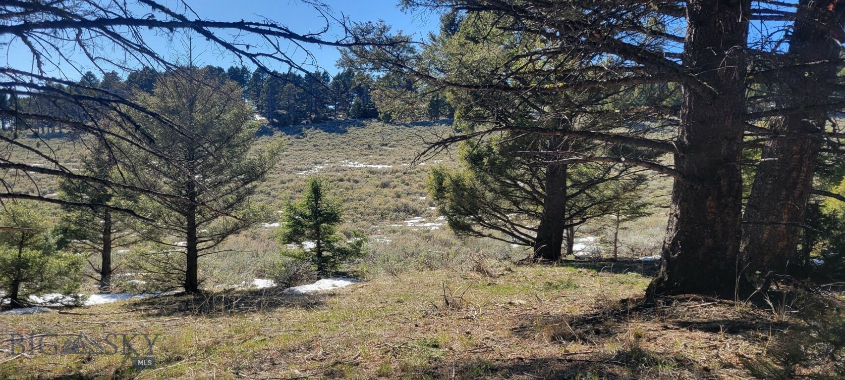 Property Photo:  Tbd Parcels 3A Bivens Creek Ridge Road  MT 59749 