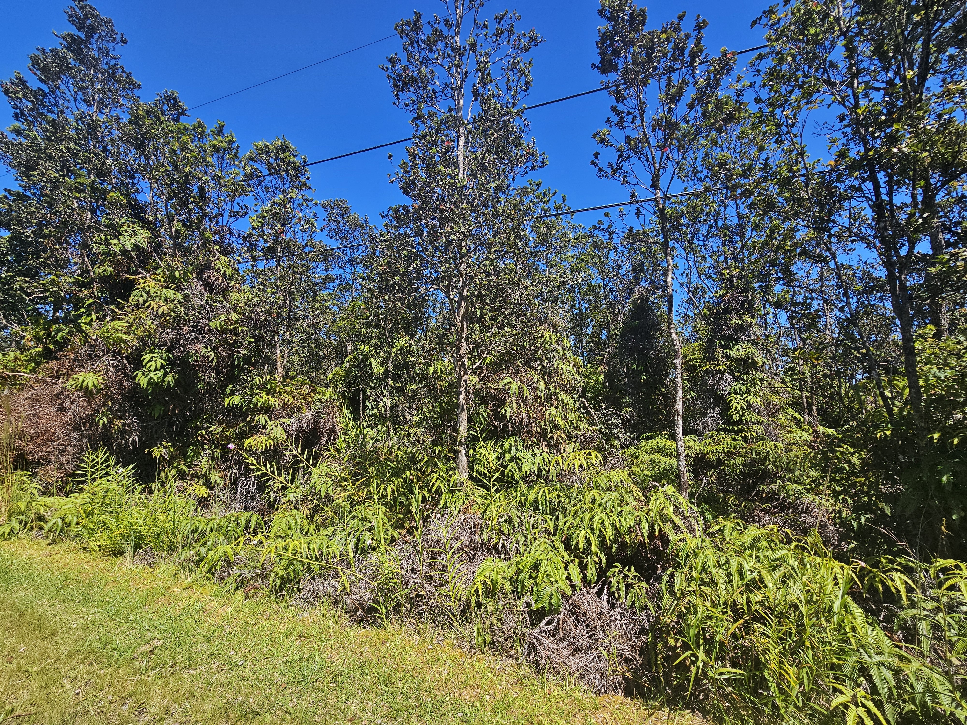 Property Photo: Mokuna St HI 96785