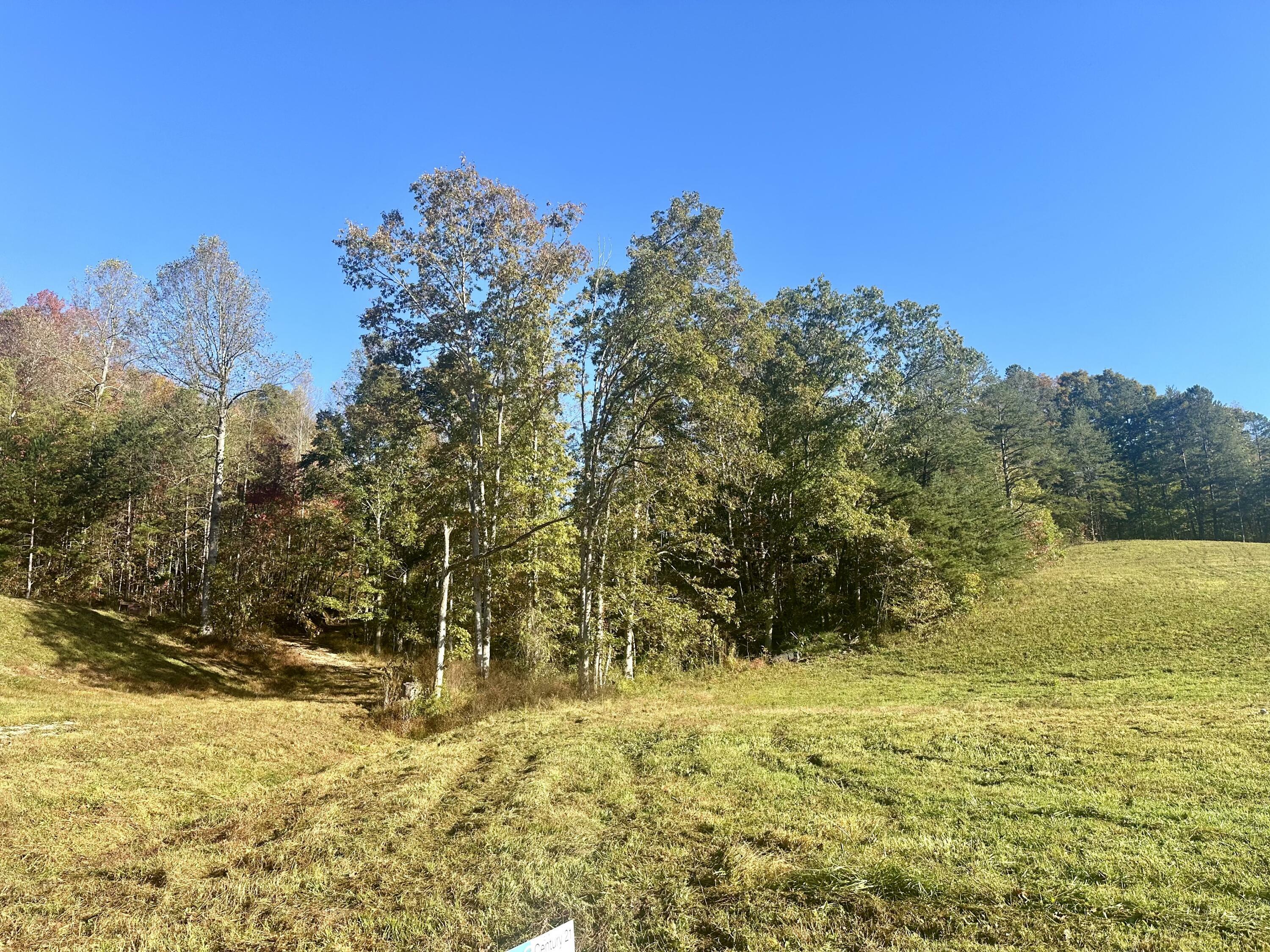 Property Photo:  540 West 577 Highway Tract 3  KY 40962 