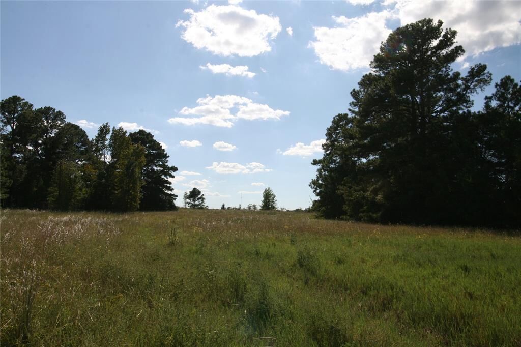 Property Photo:  Tbd St Hwy 64  TX 75754 