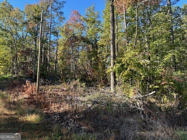 0 Ridgeway Church Road Lot 9 Seth Hyatt Estates  Ellijay GA 30540 photo