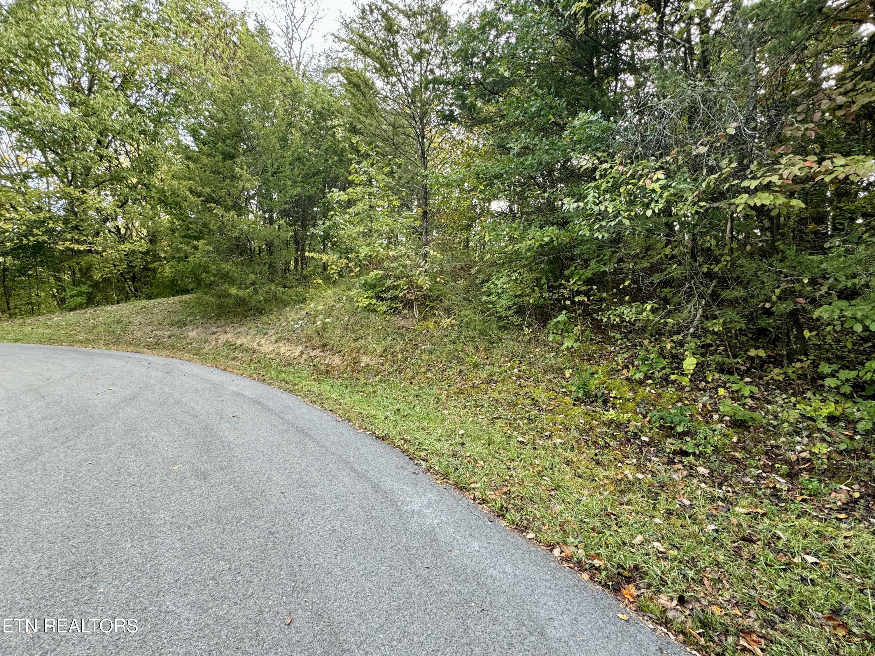 Property Photo:  Lot 18&19 Heatley Lane  TN 37862 