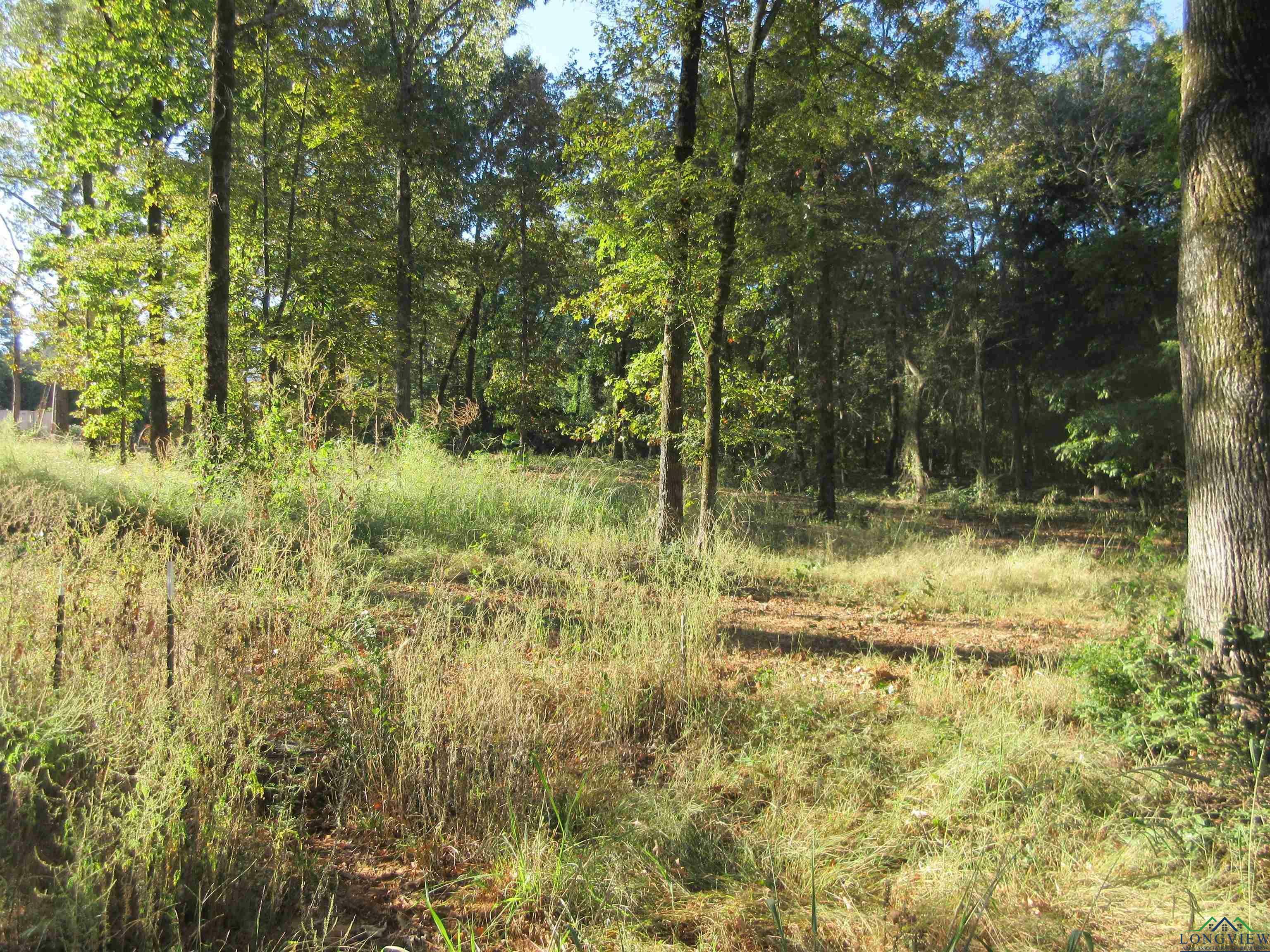 Property Photo:  Tbd Yates Dr  TX 75601 