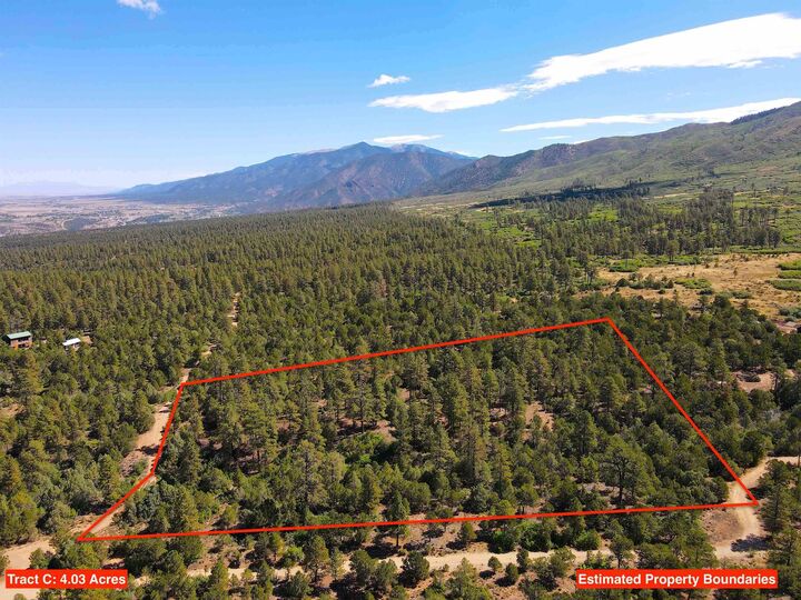 Property Photo: Tract C Forest Road 493 NM 87556