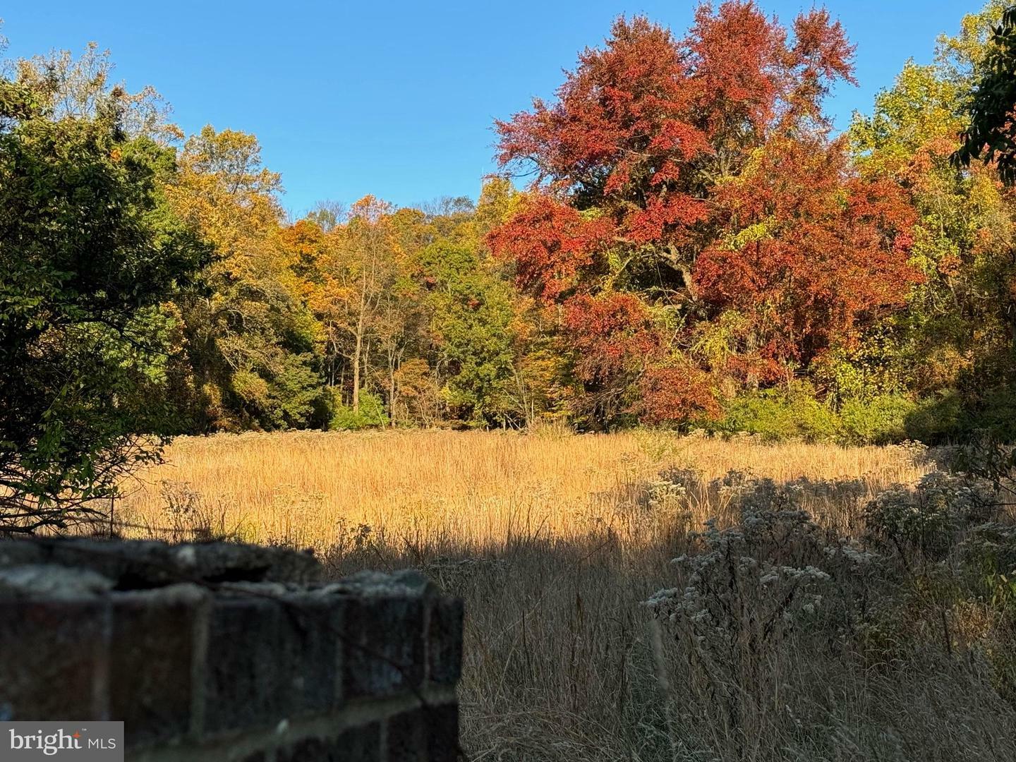 Property Photo:  196 Skyline Drive  PA 19606 