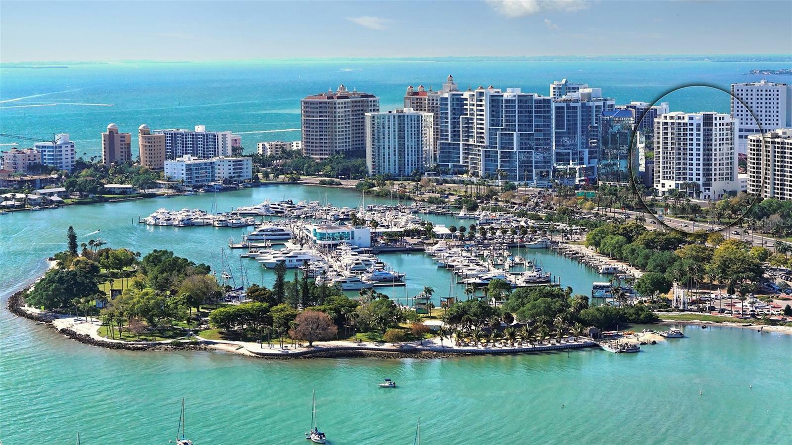 Property Photo: 1233 N Gulfstream Avenue 1001 FL 34236