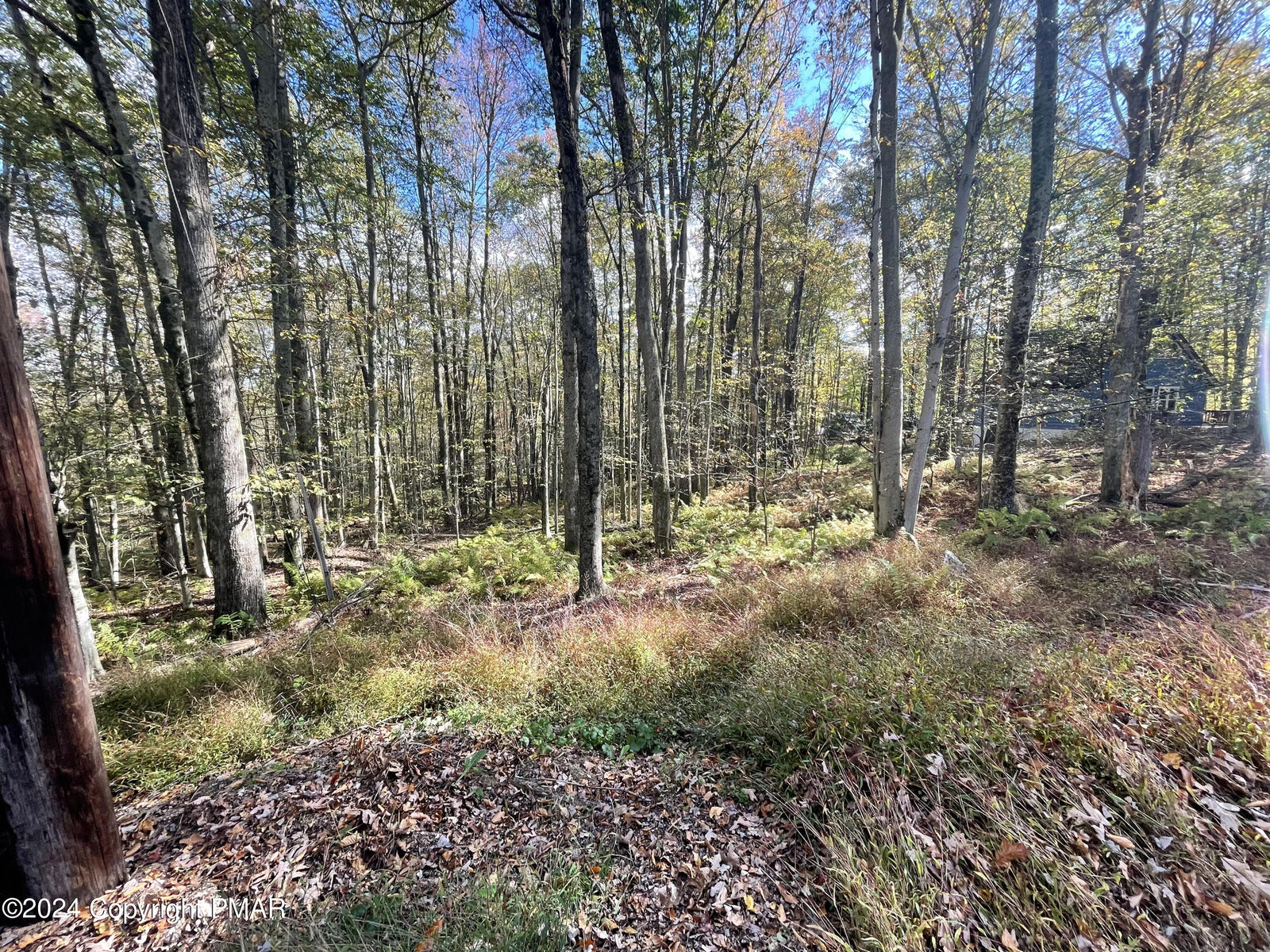Property Photo: Mountain Ash Lane PA 18661