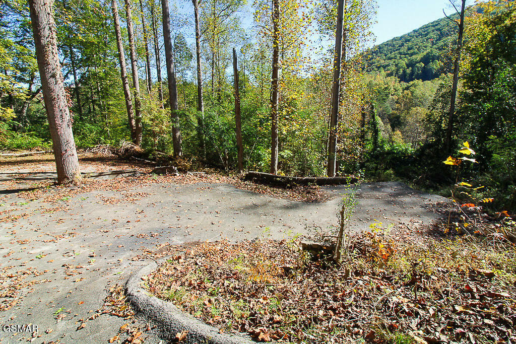 Property Photo:  374 Loop Road  TN 37738 