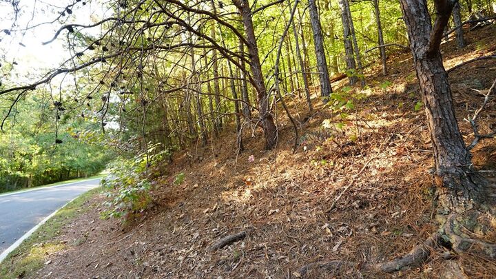 Property Photo: Lot 6 Eden Park Drive GA 30740