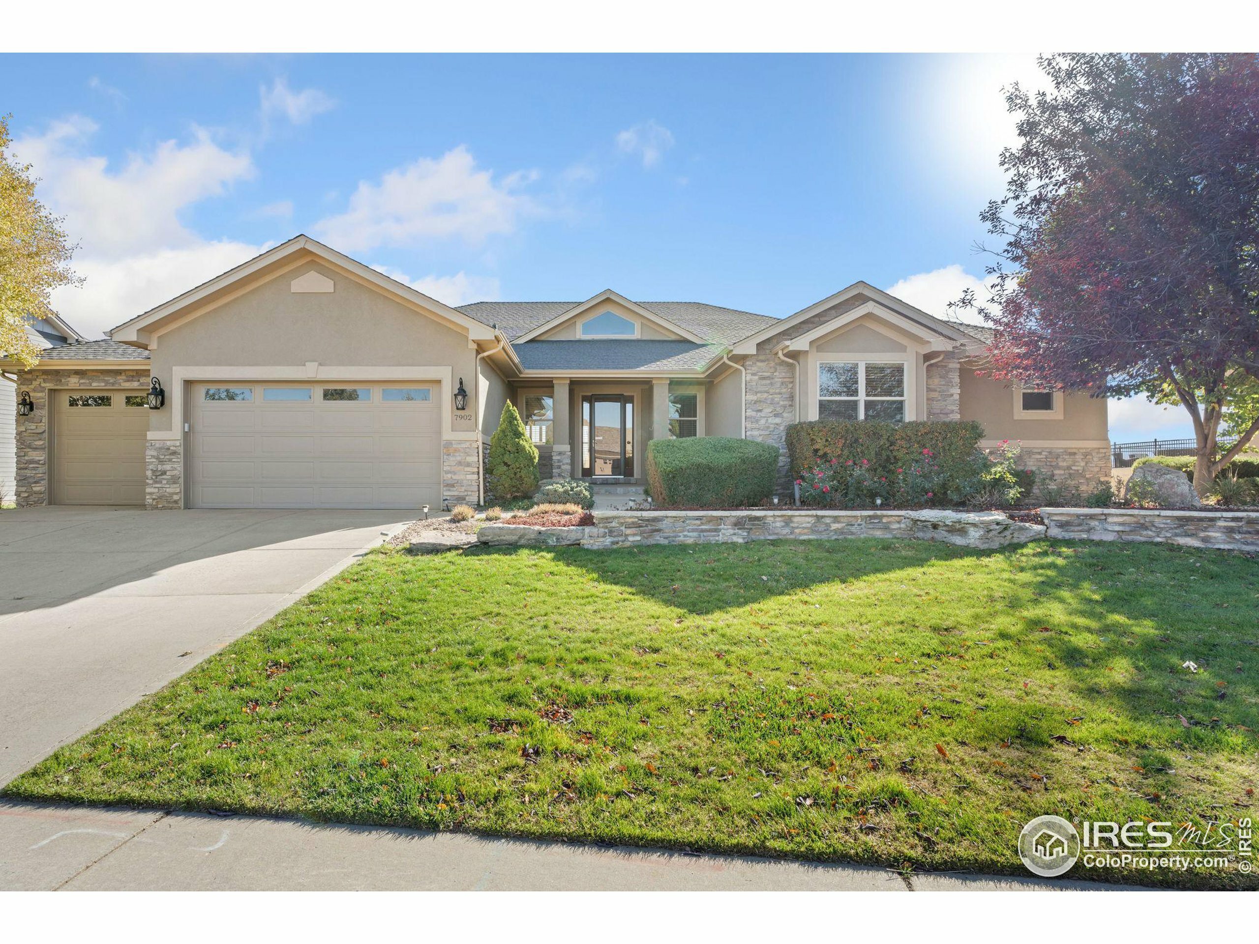 Property Photo:  7902 Skyview St  CO 80634 