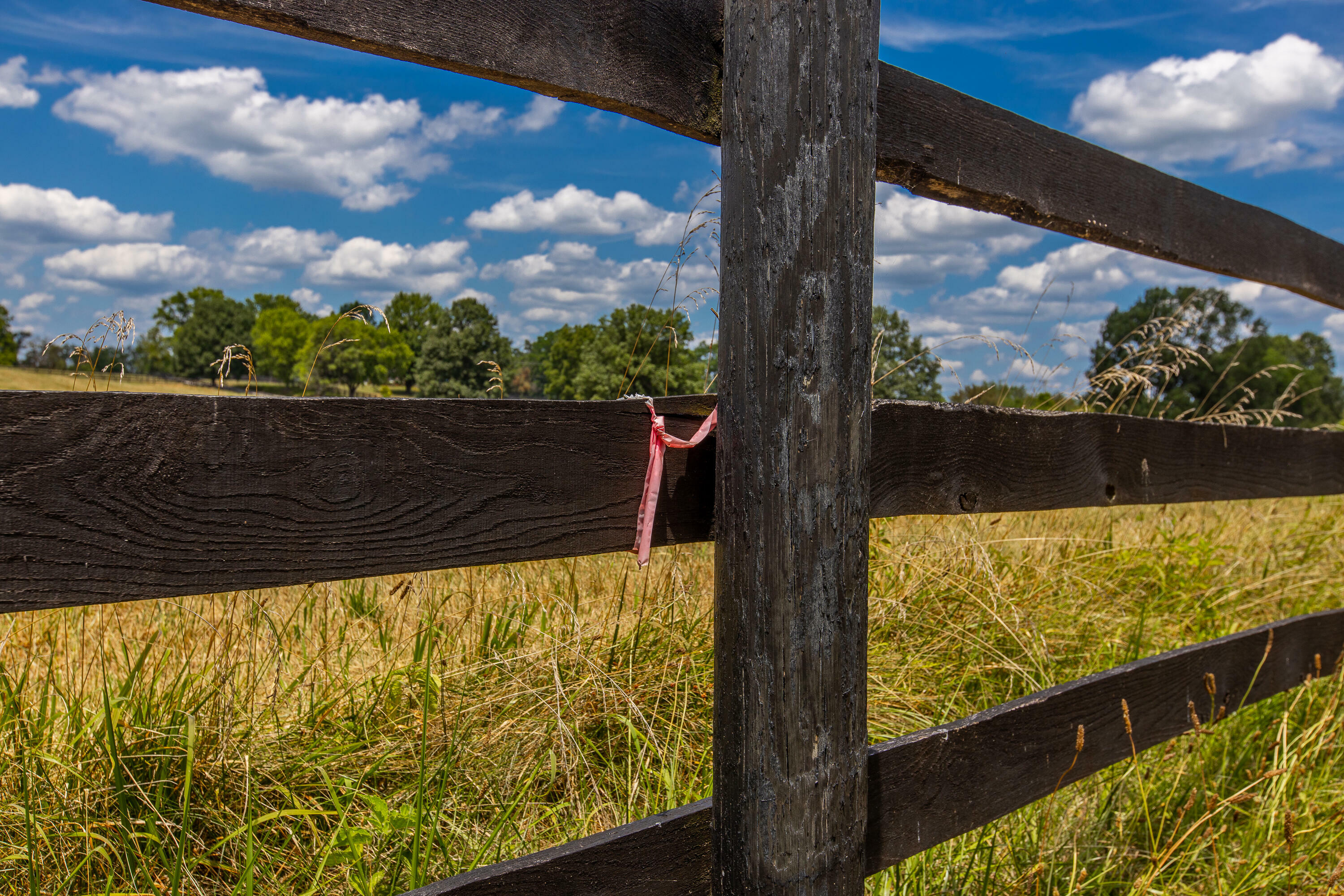 Property Photo:  333 Midway Road  KY 40324 